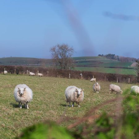 Beautiful Countryside Cottage On The North Wales Coast Abergele Esterno foto