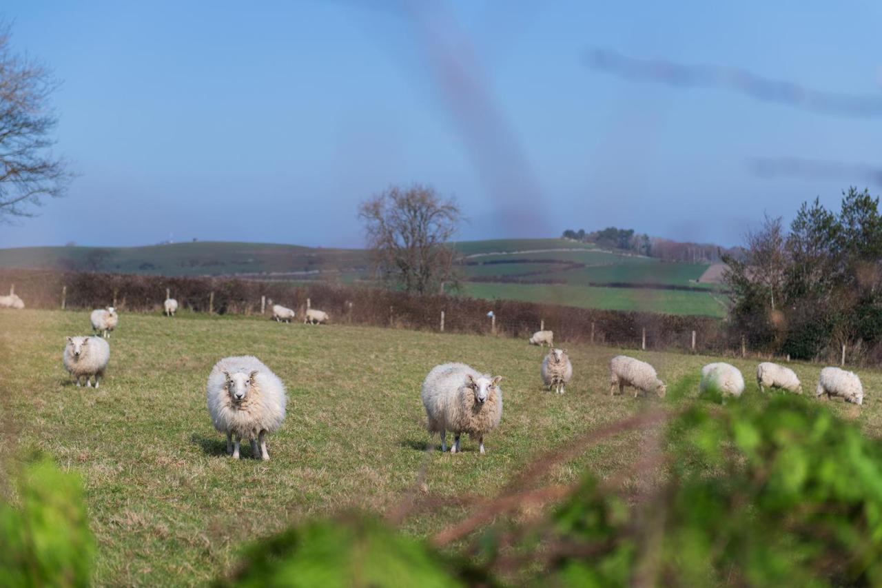 Beautiful Countryside Cottage On The North Wales Coast Abergele Esterno foto